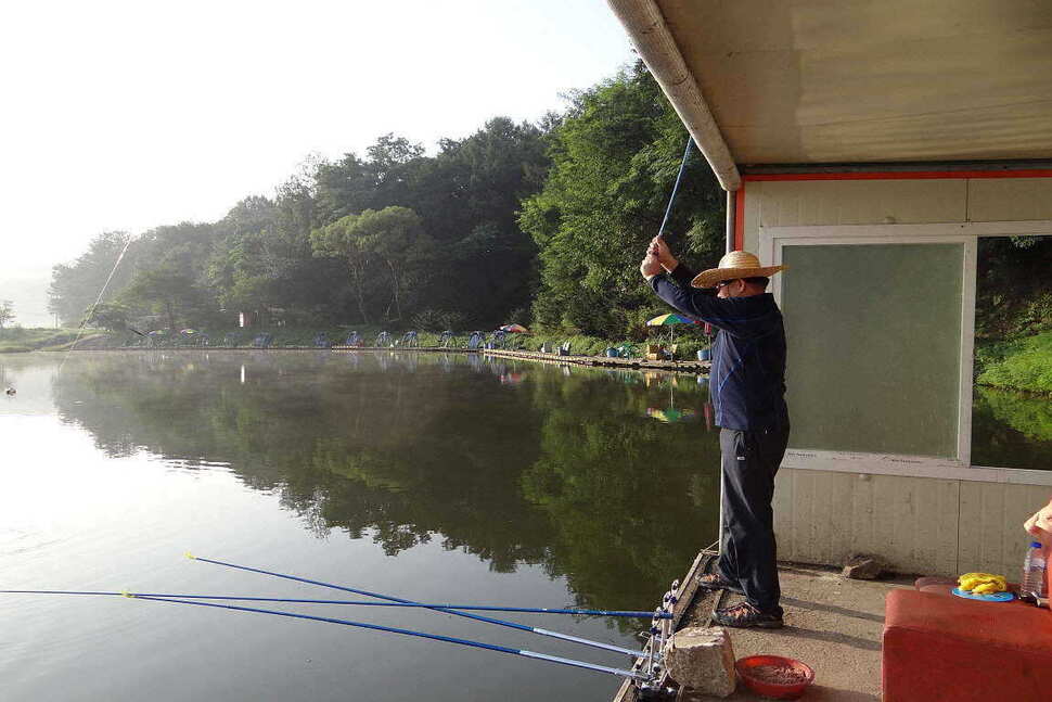 fish_pay_10481199.jpg