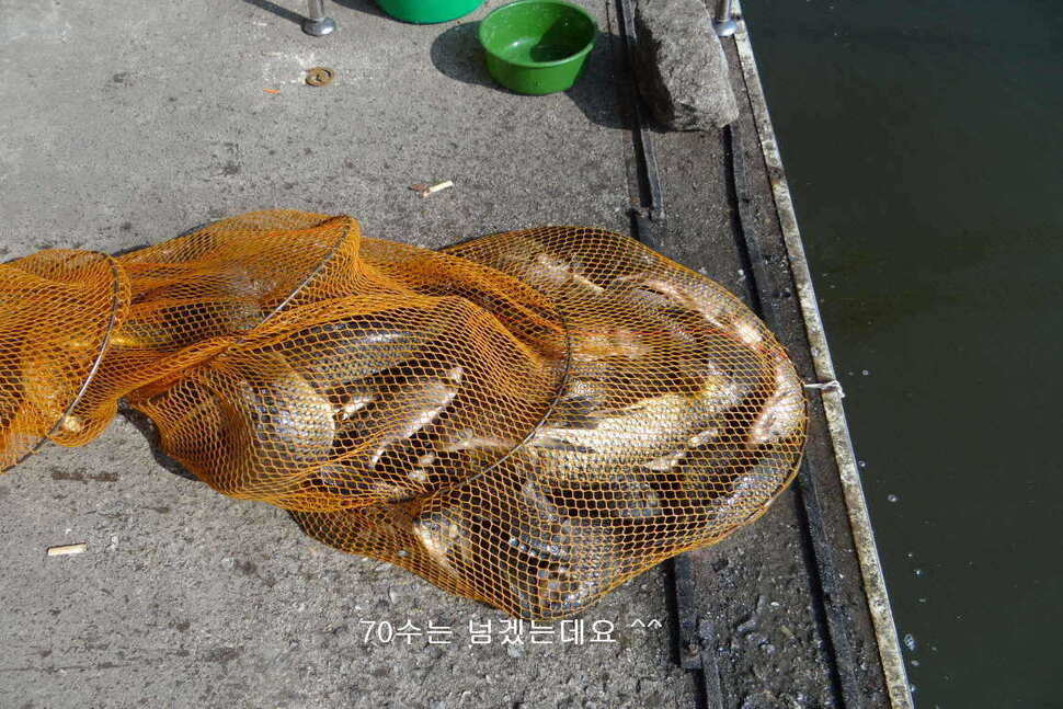 fish_pay_10482251.jpg
