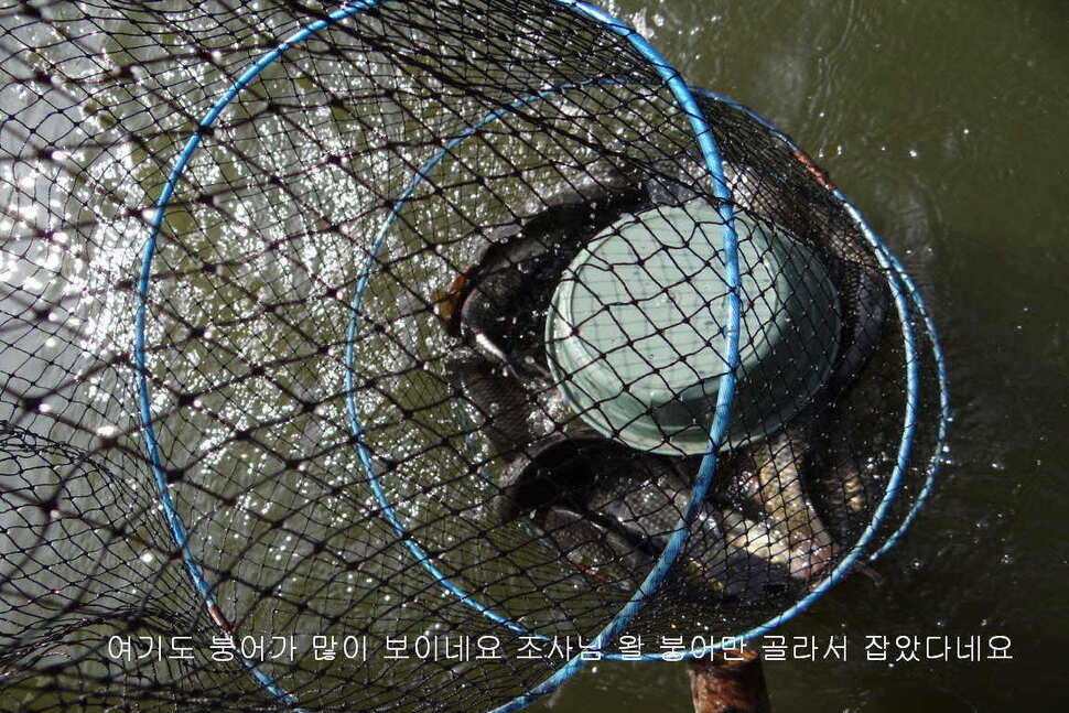 fish_pay_10482659.jpg