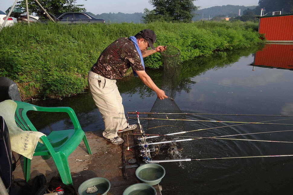 fish_pay_1048468.jpg
