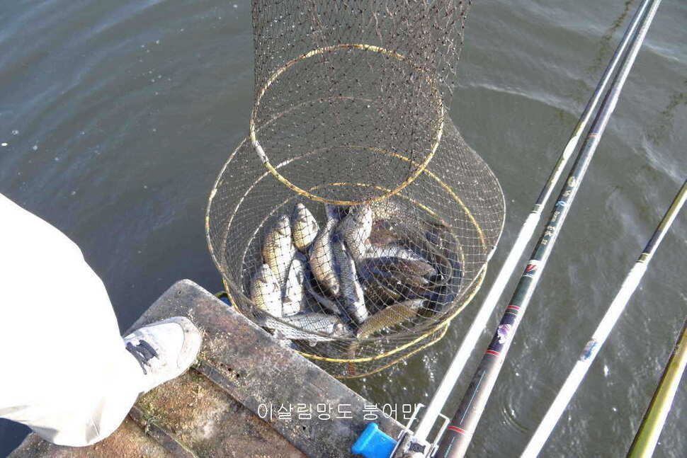 fish_pay_1048517.jpg