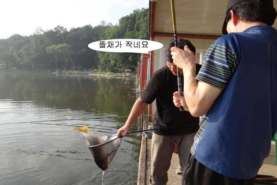 fish_pay_10494068.jpg