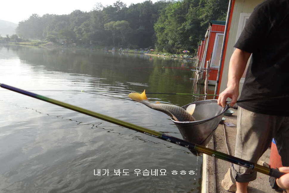 fish_pay_10495427.jpg