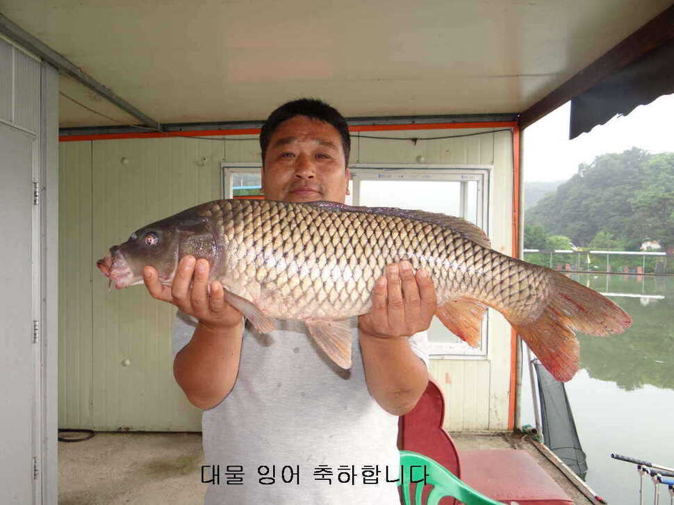fish_pay_10500127.jpg