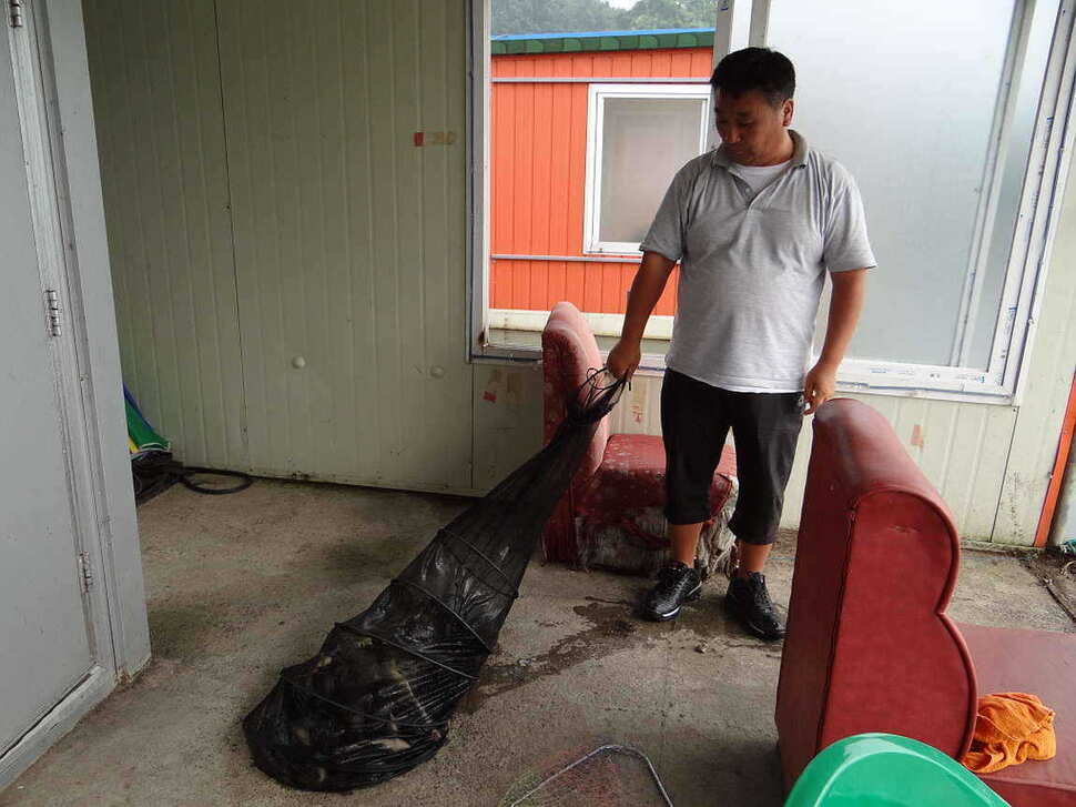 fish_pay_10500633.jpg
