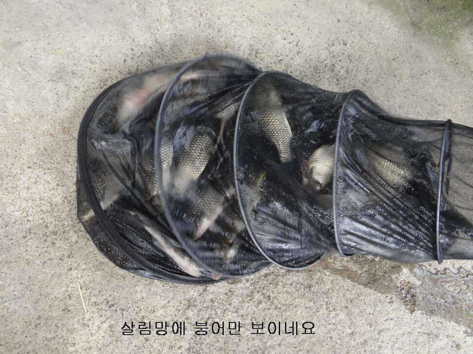 fish_pay_10501145.jpg