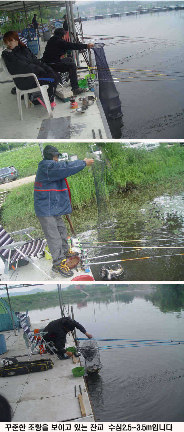 fish_pay_10590436.jpg