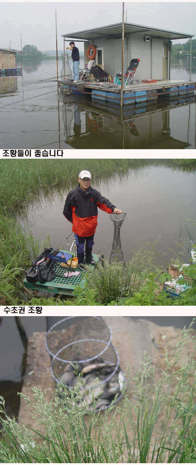 fish_pay_10594782.jpg