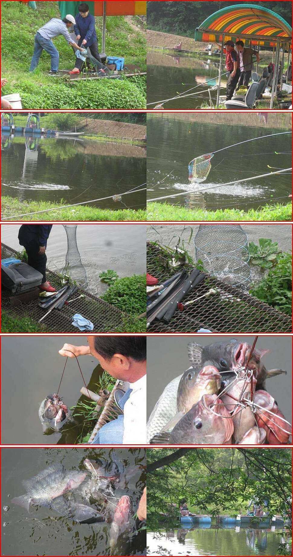 fish_pay_11031264.jpg