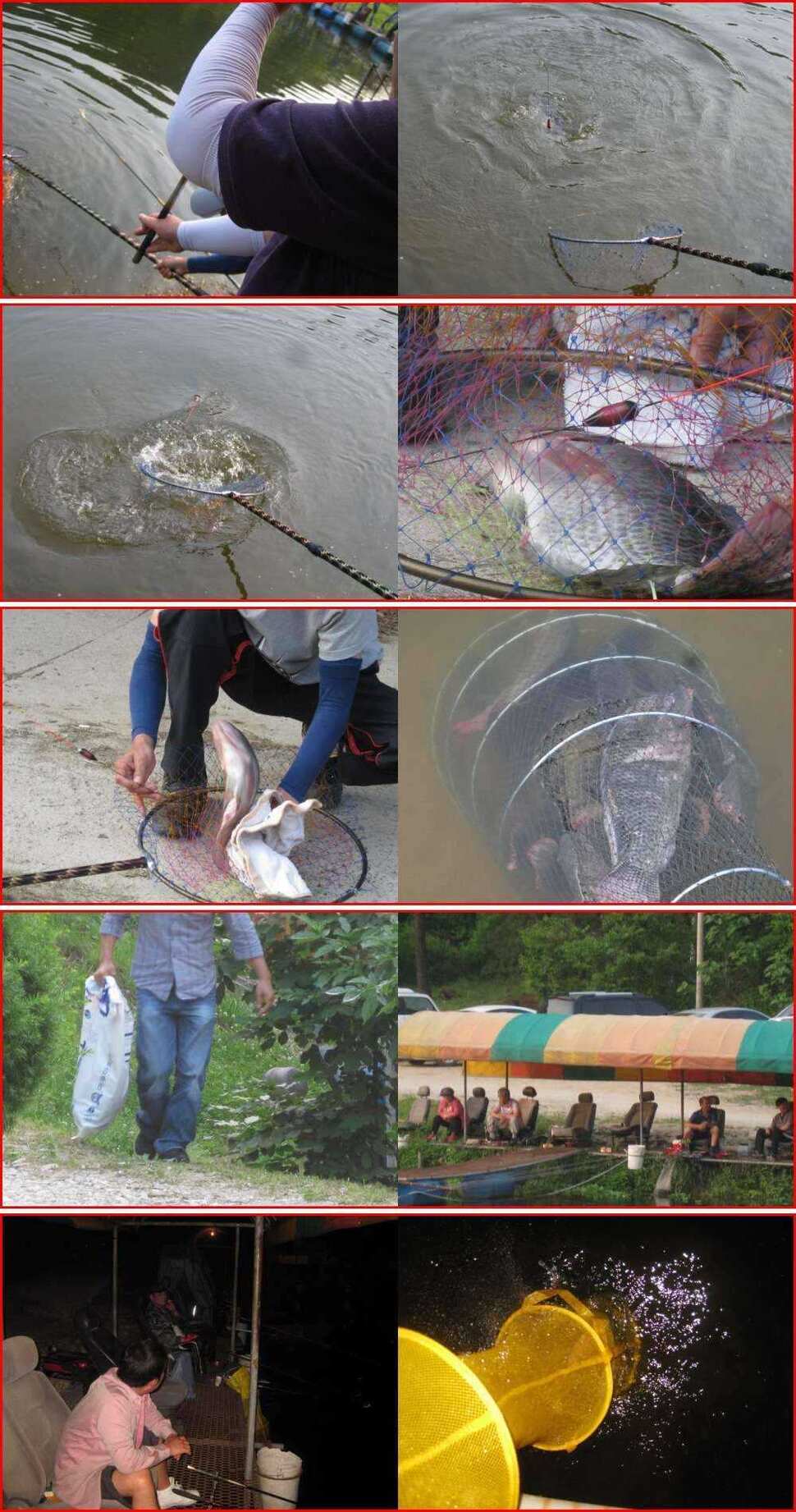 fish_pay_1103282.jpg
