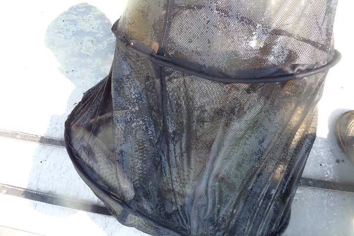 fish_pay_11223882.jpg