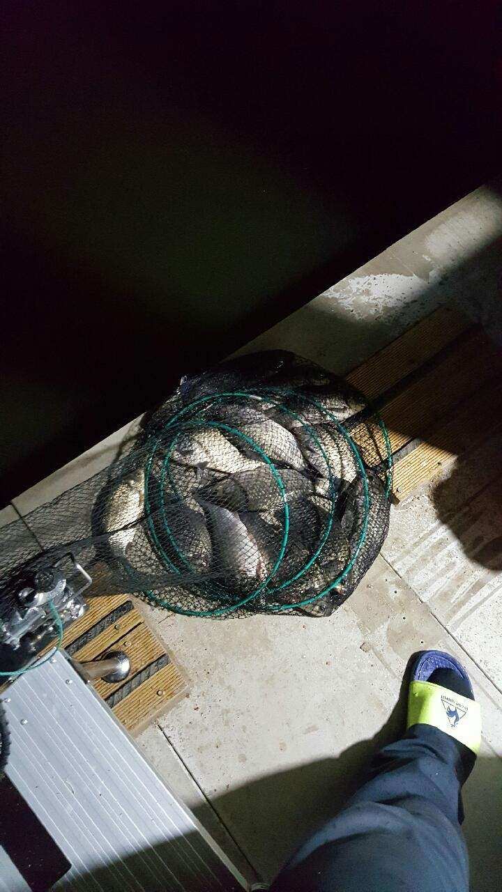 fish_pay_11232136.jpg