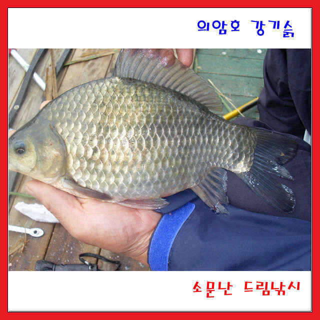 fish_pay_11234163.jpg