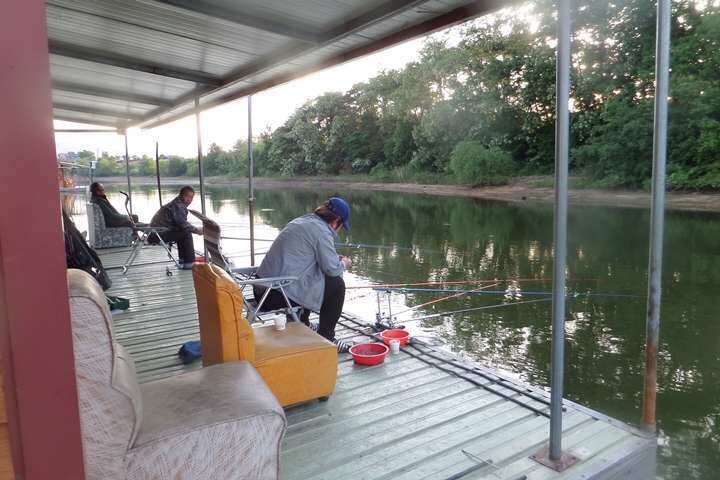 fish_pay_11250533.jpg