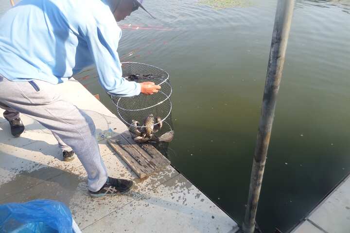 fish_pay_11263151.jpg