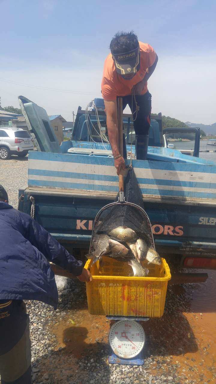fish_pay_11281223.jpg