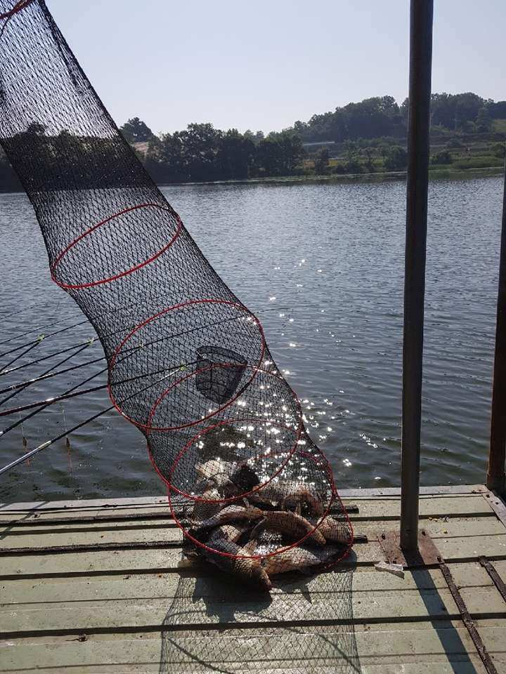 fish_pay_11314225.jpg
