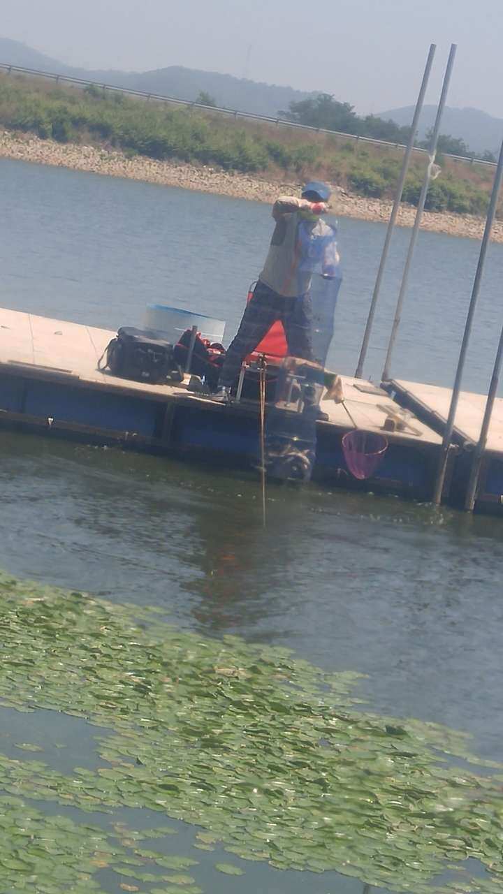 fish_pay_11314846.jpg