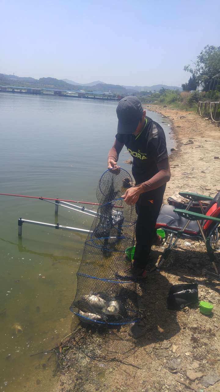 fish_pay_11315781.jpg