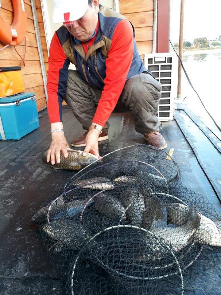 fish_pay_11325878.jpg