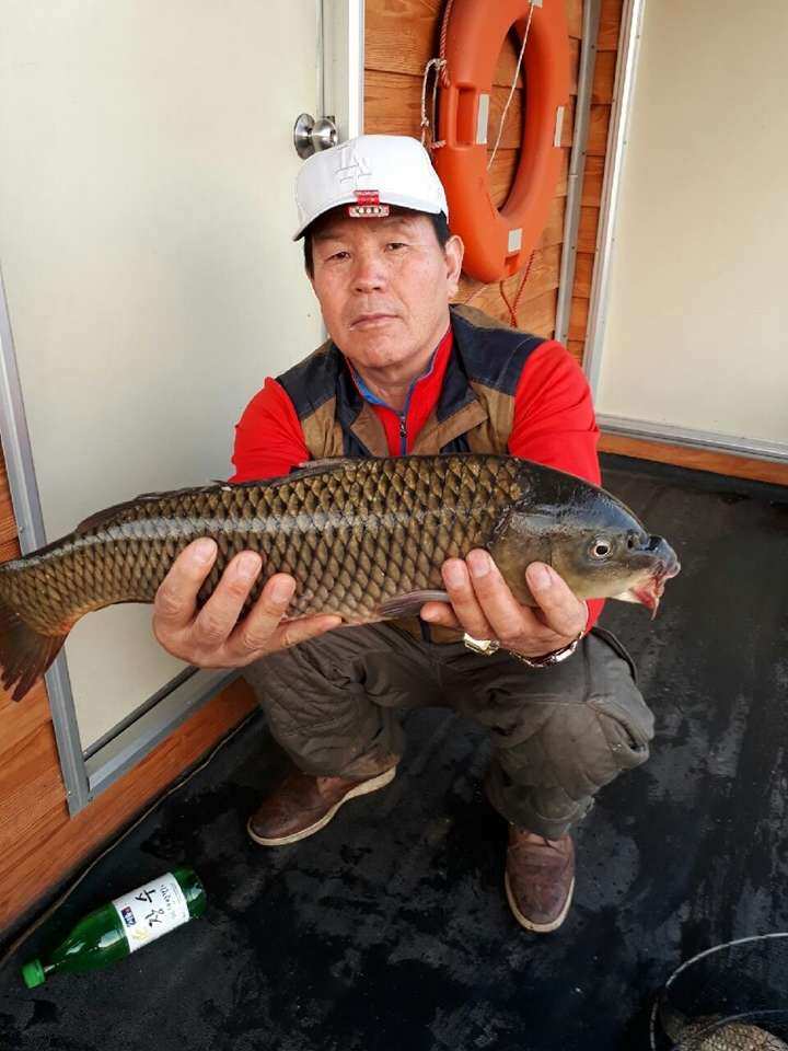 fish_pay_11330275.jpg