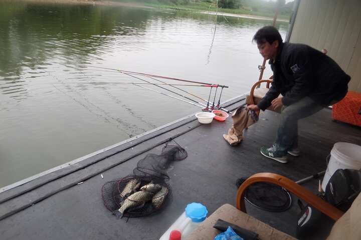 fish_pay_1133082.jpg