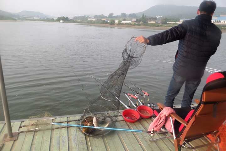 fish_pay_11332176.jpg