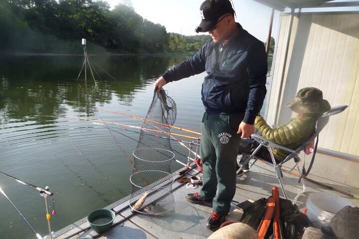 fish_pay_11334954.jpg