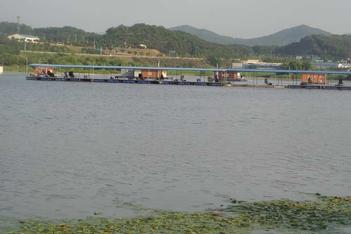 fish_pay_11345486.jpg