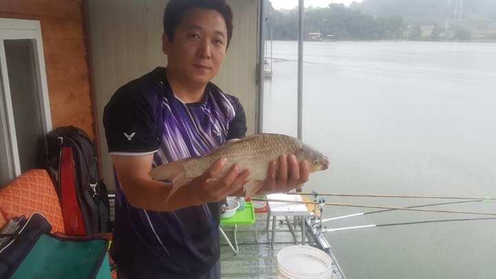 fish_pay_1154285.jpg