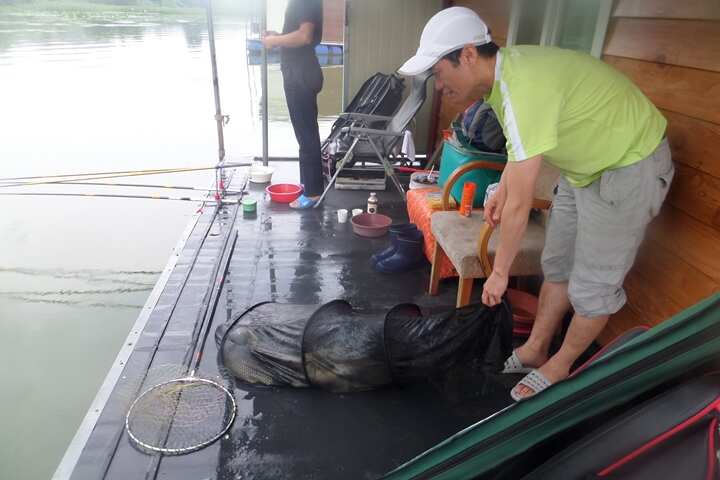 fish_pay_11550111.jpg
