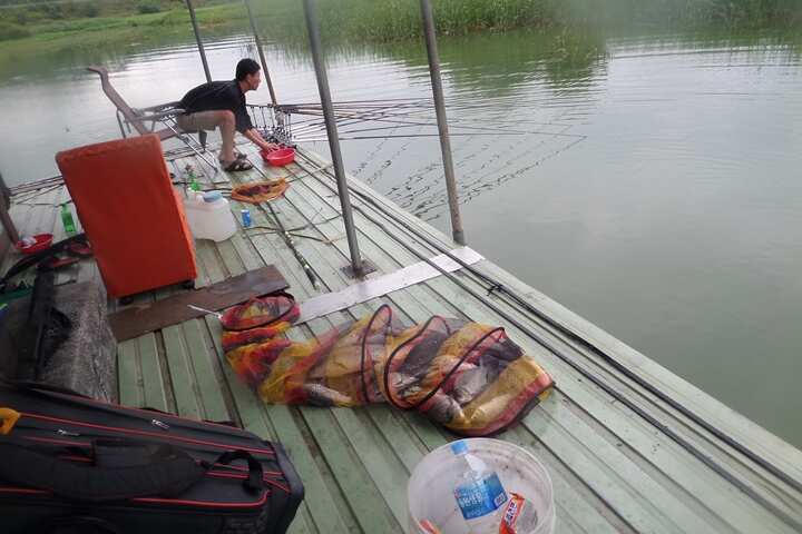 fish_pay_11551970.jpg