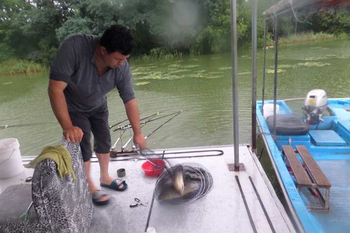 fish_pay_11555096.jpg