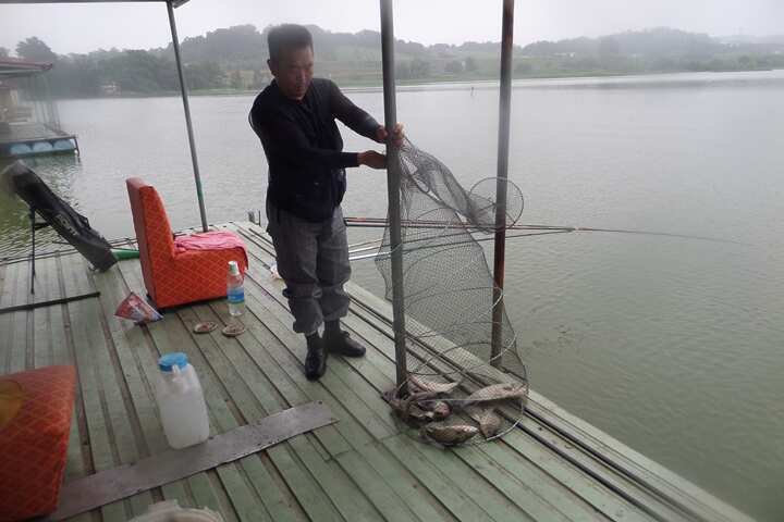 fish_pay_11563497.jpg