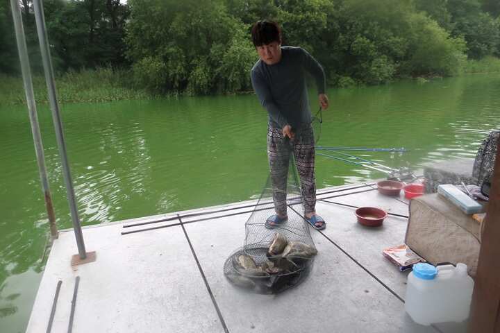 fish_pay_11564546.jpg