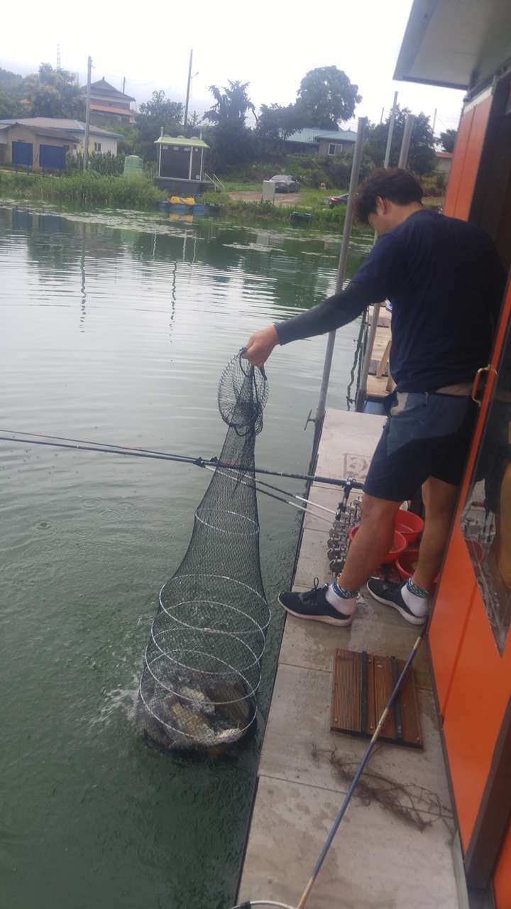 fish_pay_1201432.jpg