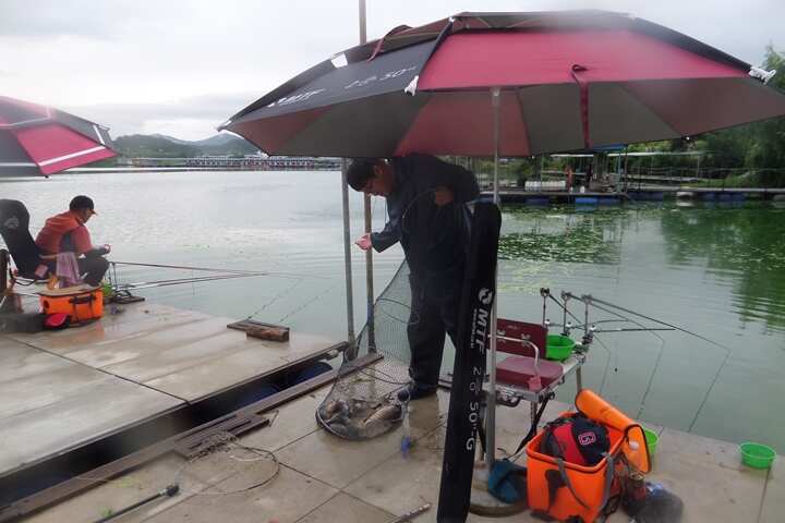fish_pay_12015237.jpg