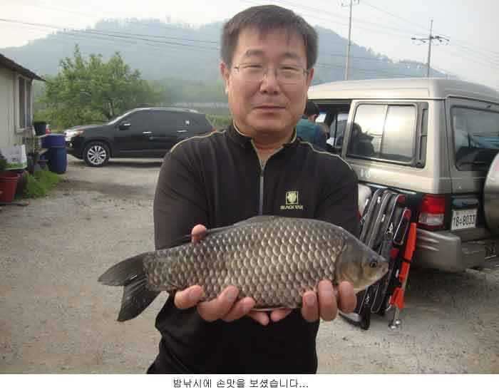 fish_pay_12023735.jpg