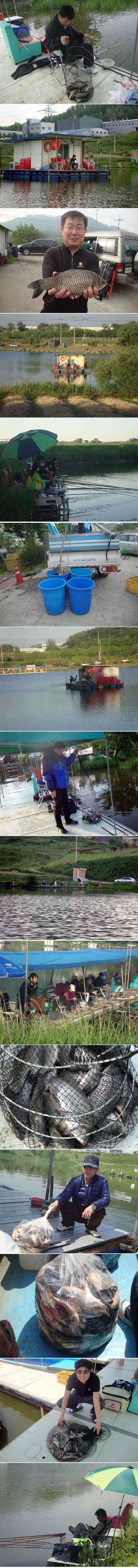 fish_pay_1202446.jpg