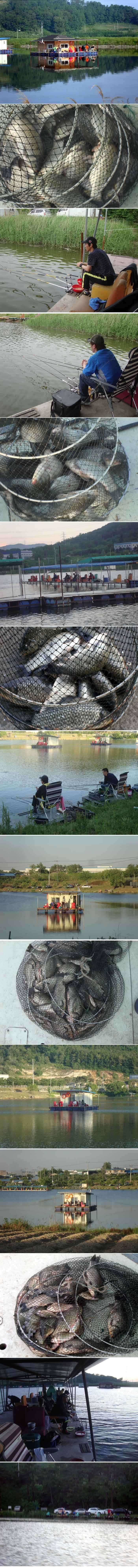 fish_pay_12025235.jpg