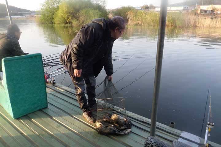 fish_pay_12321277.jpg