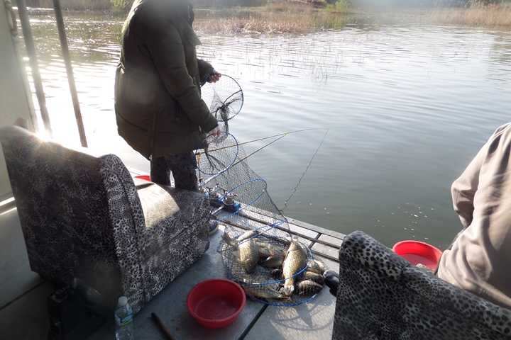 fish_pay_1232388.jpg