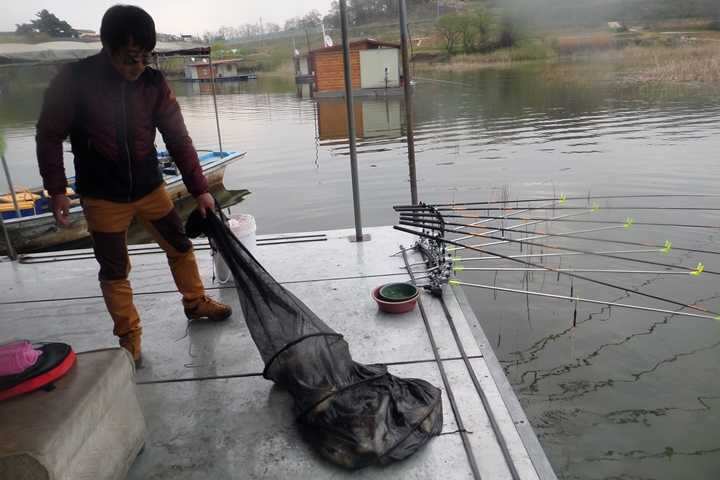fish_pay_12325775.jpg