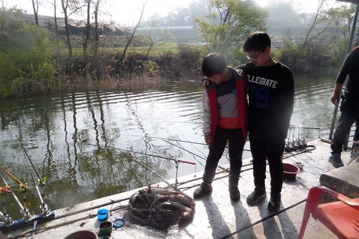 fish_pay_1233562.jpg
