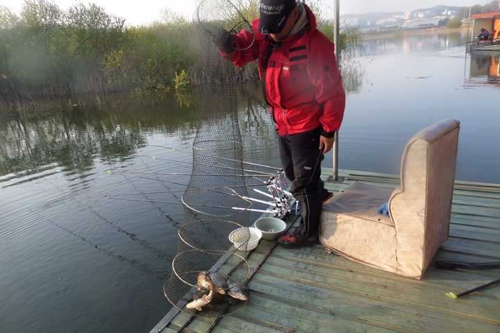 fish_pay_12344138.jpg