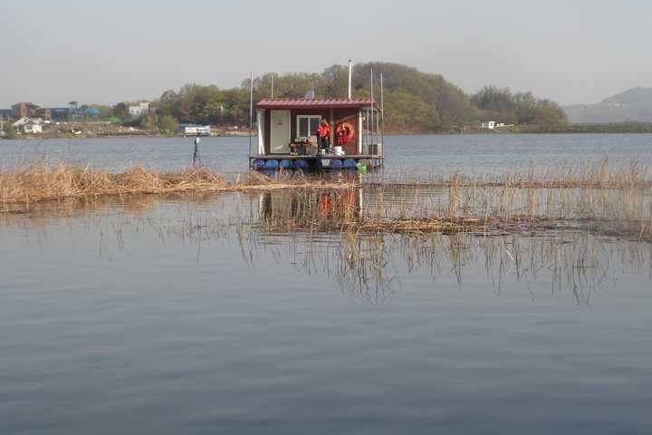 fish_pay_1236074.jpg