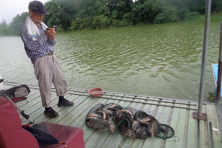 fish_pay_12580046.jpg