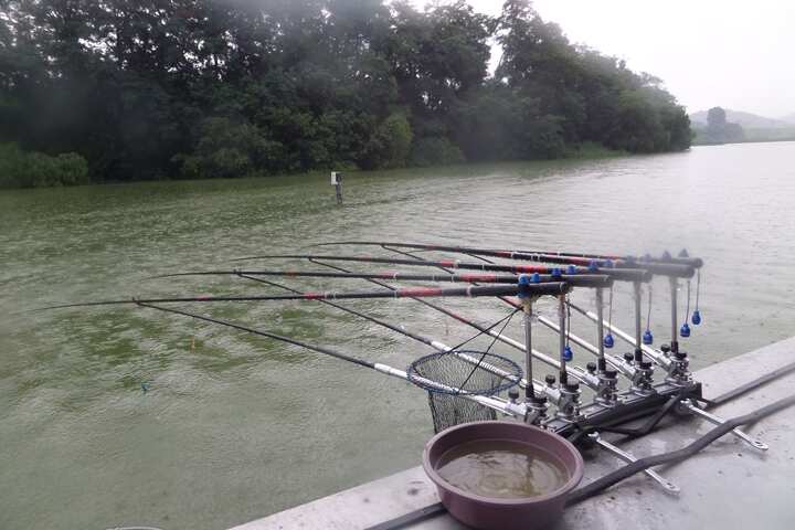 fish_pay_12584744.jpg