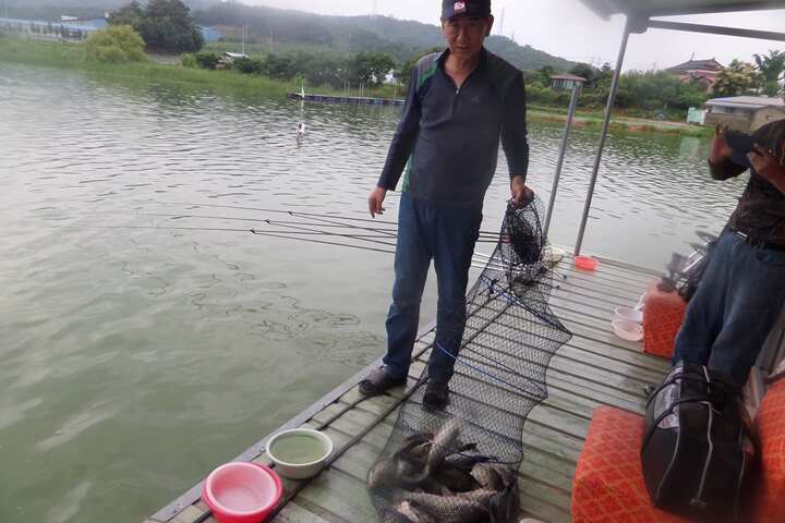 fish_pay_1258548.jpg