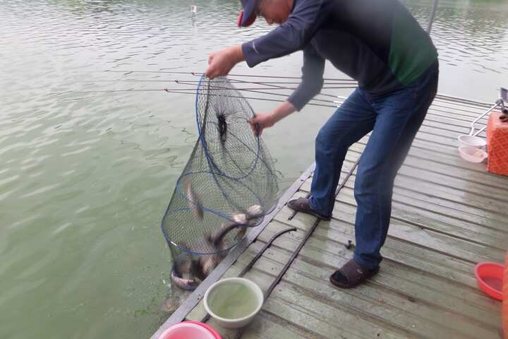 fish_pay_1259034.jpg